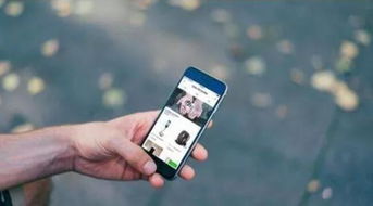 龍熙科技軟件開發系統流程