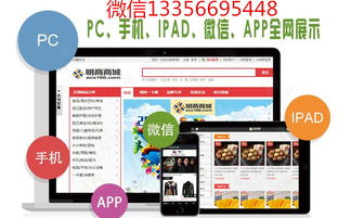 河北三軌制直銷系統軟件開發定制公司